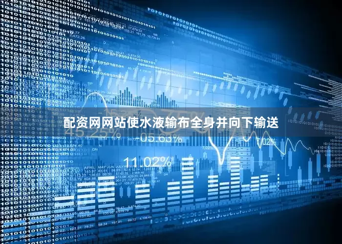 配资网网站使水液输布全身并向下输送